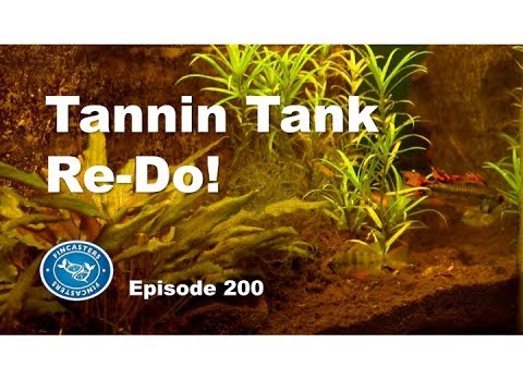 Tannin Tank re-do | Episode 200