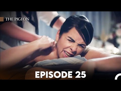 The Pigeon Episode 25 (FULL HD)