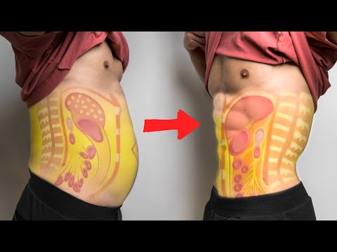 【减小腰围!】如何3步减掉内脏脂肪| How to lose Visceral fat in 3 Step!