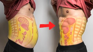 【减小腰围!】如何3步减掉内脏脂肪| How to lose Visceral fat in 3 Step!