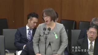 [英語民間試験] 羽藤由美 参考人・意見陳述 11/5衆院・文科