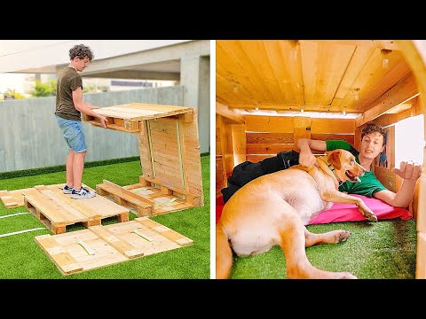 Hermosas y fáciles casas de bricolaje para perros que tus mascotas adorarán