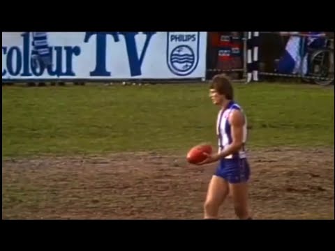 Flashback to 1980 round 15 North Melbourne v Footscray at Arden St.