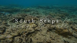 South Steps Sunabe Seawall | Okinawa | October 2023 [[Swimming with a school of SARDINES!]]