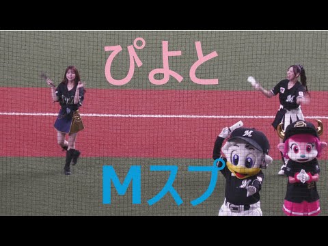 【ハリセンコラボ】ぴよ with M Splash!! 2024/8/4