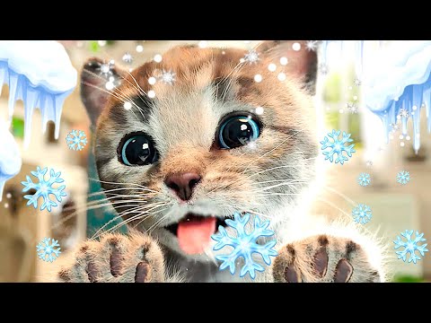 MY LOVELY LITTLE KITTEN ADVENTURE | BEST PETS EDUCATIONAL VIDEO FOR CHILDREN | Cat Story First Snow