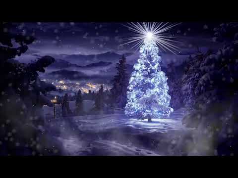 Snowy Christmas Scene | Copyright Free Video Footage