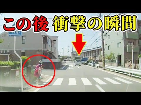 【ドラレコ】※閲覧注意 小学生が横断歩道を渡ろうとしたら結果...衝撃の瞬間【危険運転撲滅】