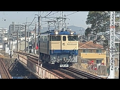 EF65 1135号機　単機回送