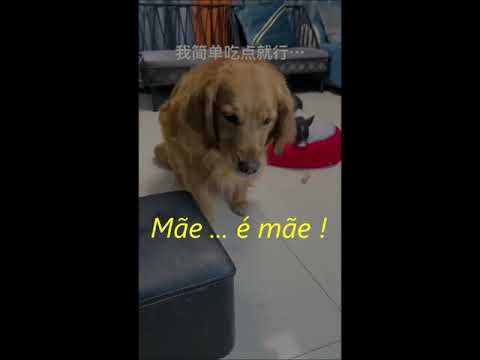 Mãe     é mãe !