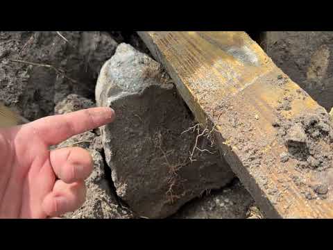 Proof that Concrete Around Fence Post Does Not Cause Premature Rot | Unearthed after 9 years