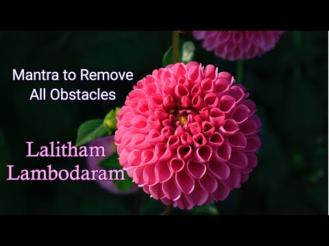 Mantra  to remove all obstacles | Lalitham Lambodaram (108 Times)