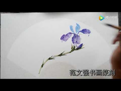 國畫书画教学视频35鸢尾作品Chinese painting teaching