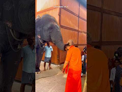 விதியை மாற்றும் திருச்செந்தூர் 💯💥 #shorts #thiruchendurmurugan #murugantemple #thiruchendur