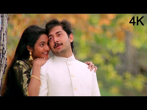 रोजा जानेमन तू ही मेरा दिल | A. R Rahman Romantic Song | 90s Love Song | Hariharan, Sujatha Mohan