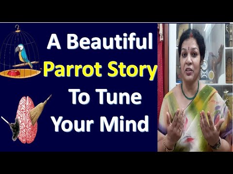 A Beautiful & Inspirational Parrot Story -  To Tune Your Mind