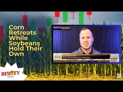 Corn Retreats While Soybeans Hold Their Own