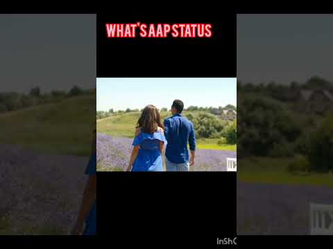 what's aap status video,#youtube#ytshorts#shortvideo