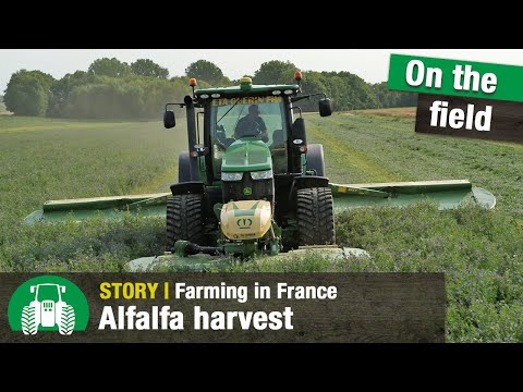 Alfalfa harvesting in France | Krone forage harvesting | Agriculture | BiG X | EasyCut | Tractors