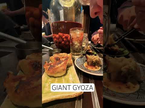 Help! My phone is filled with delicious food videos 🥟 #gyoza