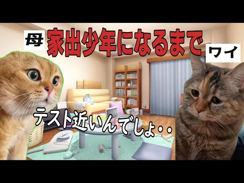 子供に家出されてしまう家庭の日常【猫ミーム】