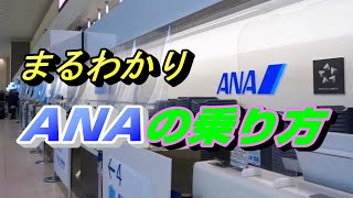 ANAの乗り方を予約から搭乗までまるごとご紹介 【飛行機 国内線 全日空】