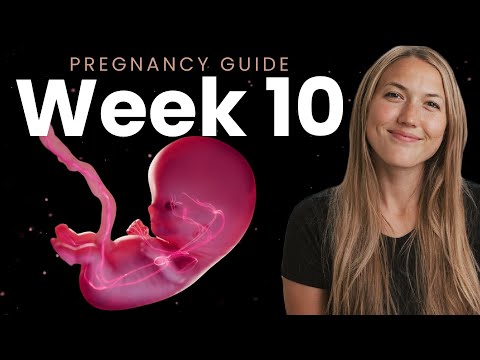 10 Weeks Pregnant | Week By Week Pregnancy