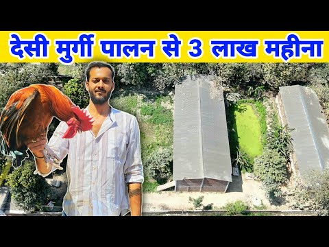 युवा ने जाॅब छोड़कर शुरू किया मुर्गी पालन | Poultry farming | Poultry farmer