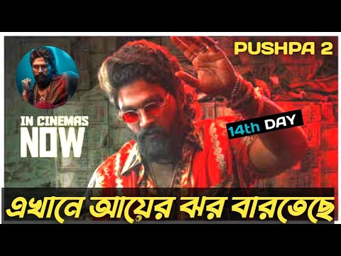 Pushpa 2 The Rule Box Office Collection Day 14: Allu Arjun, ₹973 Crore India Bangladesh Pushpa 2 Mov