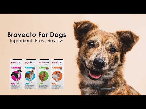 Bravecto For Dogs  Ingredient - Pros. - Review