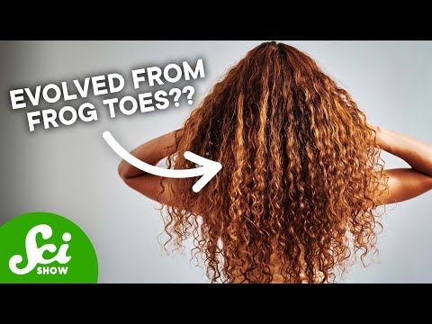 Your Gorgeous Hair Evolved From Frog Toes