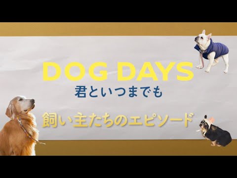 映画『DOG DAYS 君といつまでも』＜飼い主たちのエピソード＞キャストインタビュー | 11月1日(金)公開