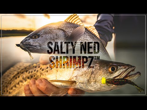 Introducing the SALTY NED SHRIMPZ