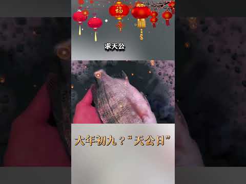 粗九補魚獲 長長又久久