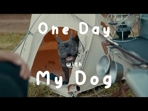 One Day With My Dog | ลองกางเต็นท์หมา พาหมามาปิคนิค | อีกหนึ่งวันแห่งความสุข | Naturehike Pet Tent