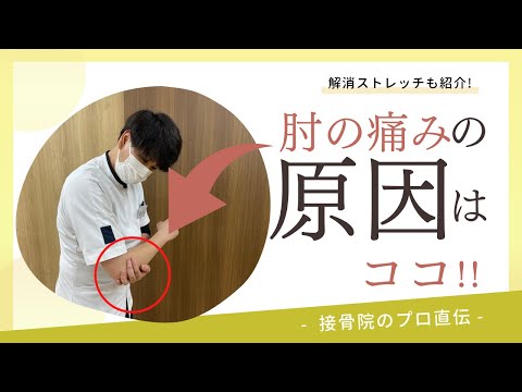 【肘の痛み】肘を伸ばしたときに痛みが走る、物を持ったときに肘が痛む方へのストレッチ！｜接骨院のプロが教えるお家セルフケア｜テラピスト接骨院