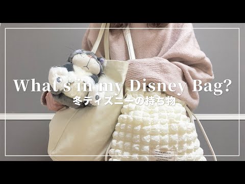 冬のディズニーの持ち物🧣寒さ対策と地蔵グッズ【What’s in my bag?】カバンの中身紹介!