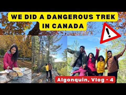 😱Wolf and Bear in Algonquin park, canada😱 Why did we do this dangerous trek⁉️