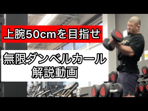 【上腕50cmを目指せ】上腕二頭筋がデカくなる無限ダンベルカール解説動画