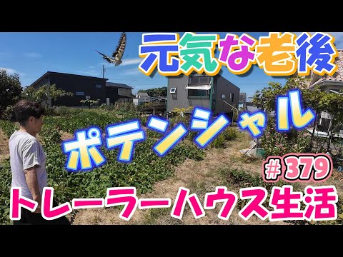 【トレーラーハウス生活】この味噌のポテンシャル未知数　#379