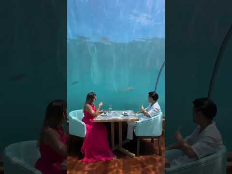 A Gastronomic Journey at Ithaa Undersea Restaurant