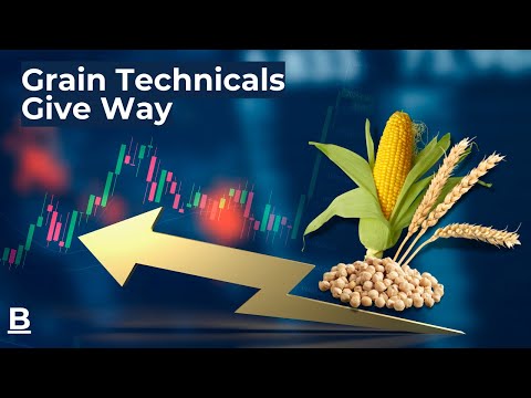 Grain Technicals Give Way