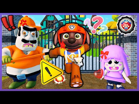 Paw Patrol Zuma’s Baby Polly House Escape (Obby) - Roblox - 汪汪隊立大功之路馬逃脫波利寶寶屋 - 機器方塊