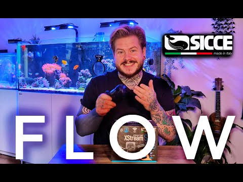 Saltwater Aquarium Flow | The Lifeblood Of Your Reef | SICCE XStream SDC