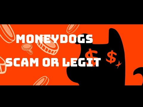 MoneyDogs Scam or Legit, watch this video