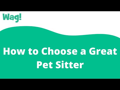 How to Choose a Great Pet Sitter | Wag!