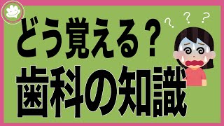 [新人歯科助手]歯科の知識のわかりやすい覚え方を解説！