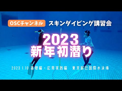 水深５ｍのダイビングプールで初潜り！OSCスキンダイビング講習会（基礎編・応用実践編）の練習風景（フォームチェック動画） in 東京辰巳国際水泳場