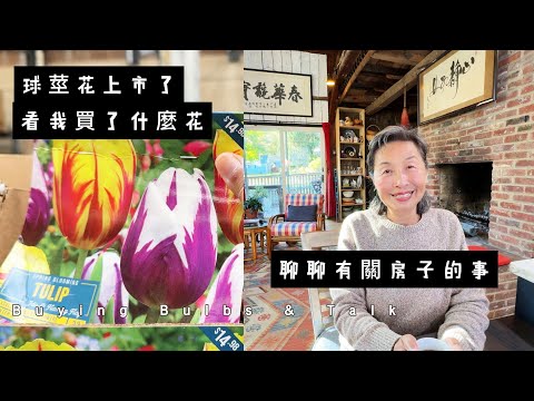 【華園花道】球莖花上市了，看我買了那些花球｜聊聊我家房子的故事｜Bought Bulbs｜Talking About Our house