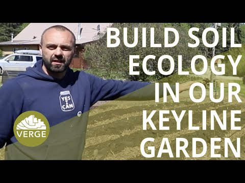 Harvest Water, Protect Plants and Build the Soil Ecology in Your Keyline Garden